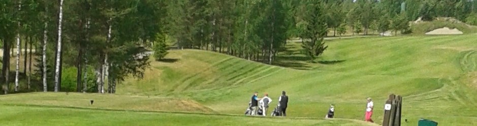 GOLFARIT HUOMIO!